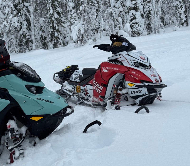 Lynx Shredder RE -deepsnow-kelkka syvässä lumessa lumisten kuusten keskellä